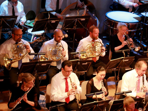 Viessmann Sommerkonzert der Hofer Syphoniker – Foto 36