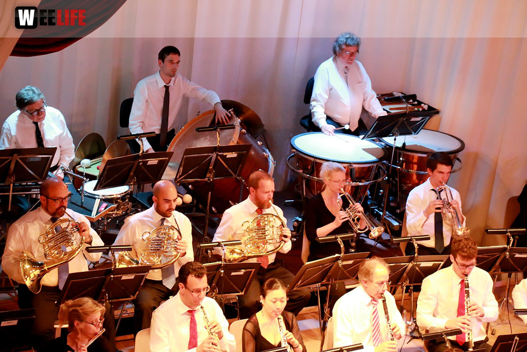 Viessmann Sommerkonzert der Hofer Syphoniker