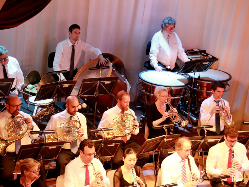 Viessmann Sommerkonzert der Hofer Syphoniker – Foto 37