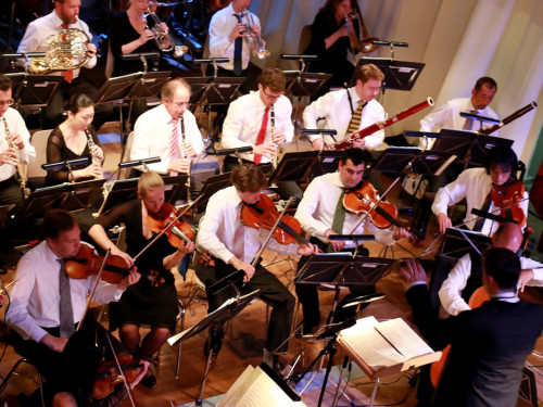 Viessmann Sommerkonzert der Hofer Syphoniker – Foto 39