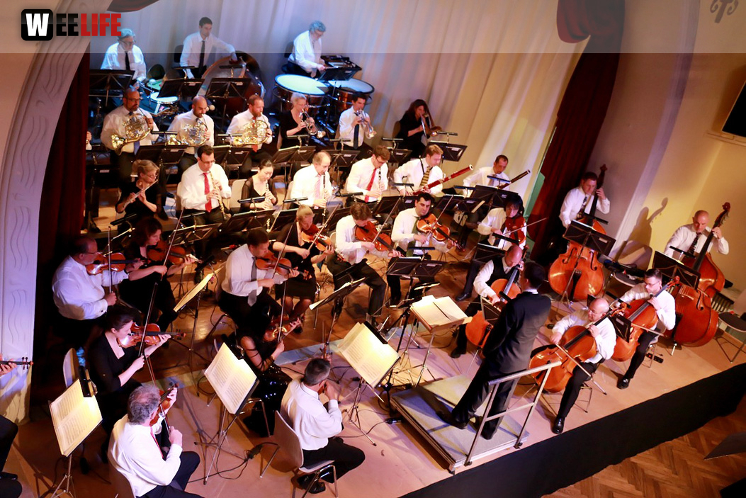 Viessmann Sommerkonzert der Hofer Syphoniker