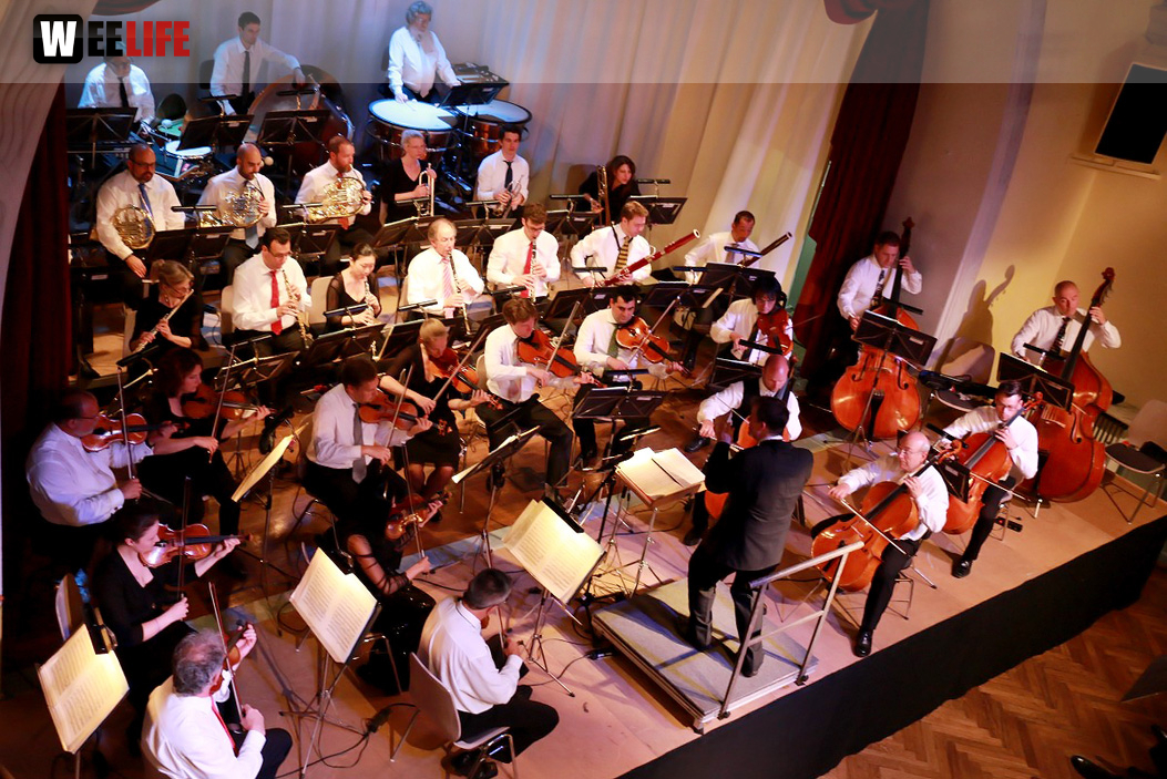 Viessmann Sommerkonzert der Hofer Syphoniker