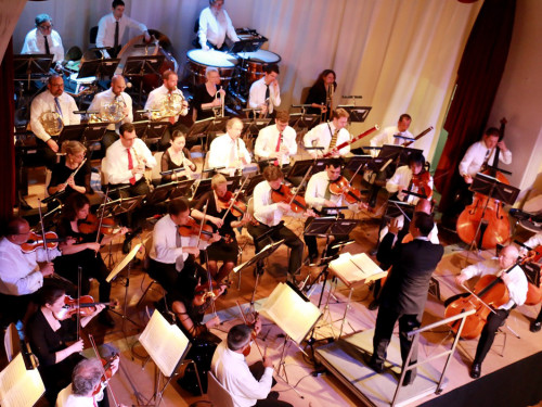 Viessmann Sommerkonzert der Hofer Syphoniker – Foto 45