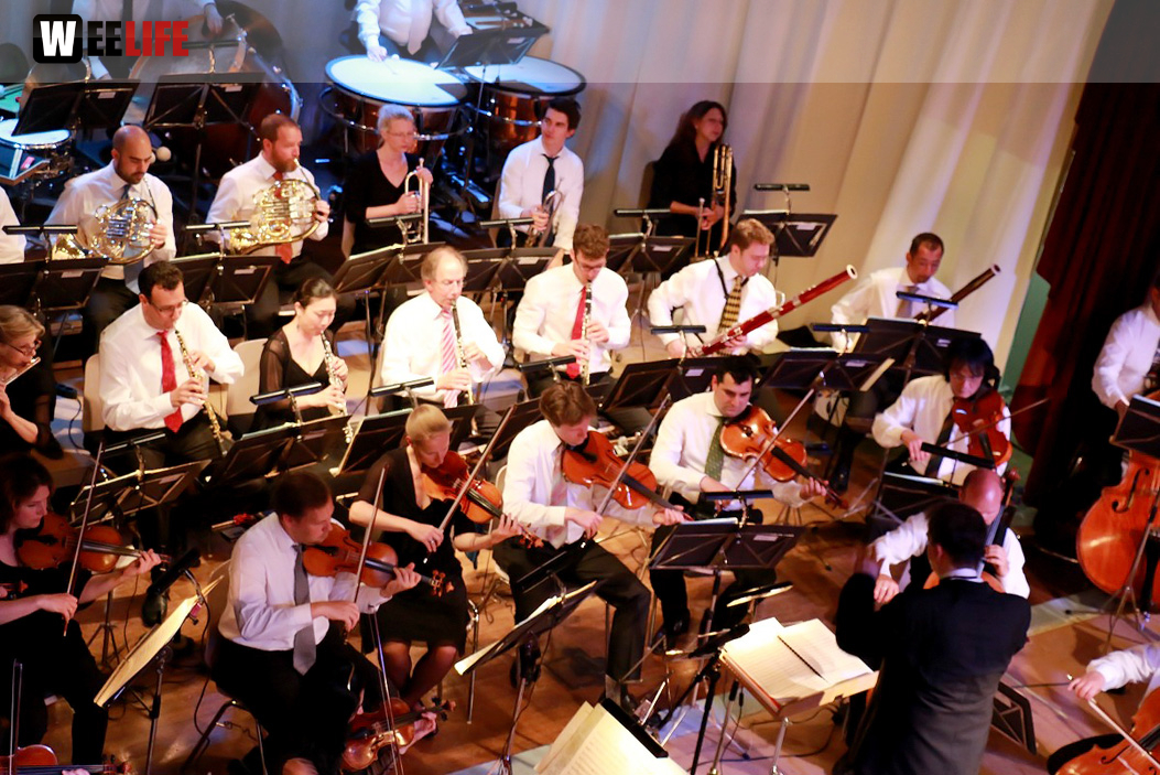 Viessmann Sommerkonzert der Hofer Syphoniker