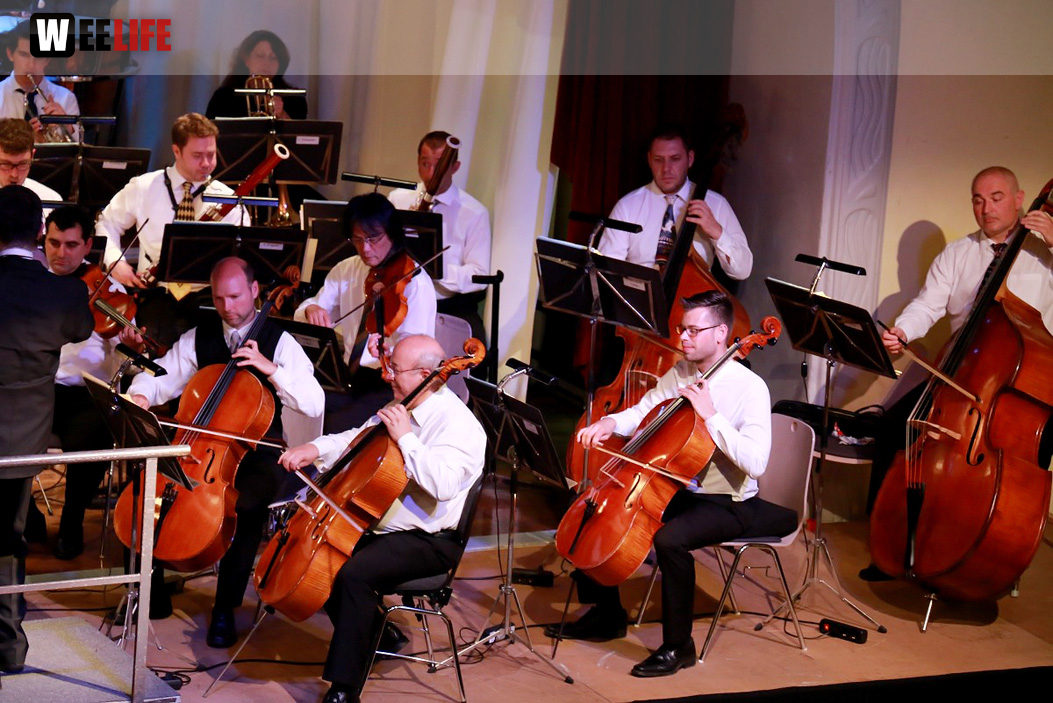 Viessmann Sommerkonzert der Hofer Syphoniker