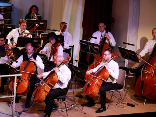 Viessmann Sommerkonzert der Hofer Syphoniker – Foto 49