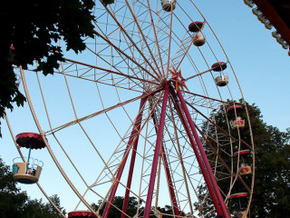 Foto 144108 im Album