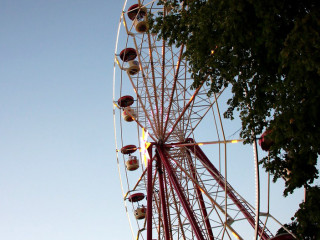 Foto 144201 im Album