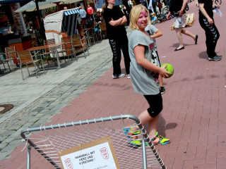Foto 145676 im Album