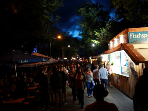 Hofer Volksfest 2.Tag der Landjugend mit Aischzeit – Foto 26
