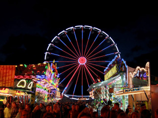 Foto 145802 im Album