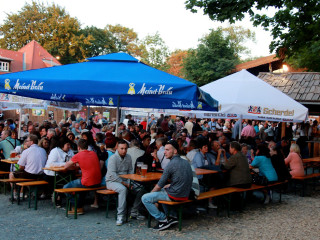 Foto 147233 im Album