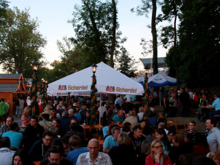 Foto 147239 im Album