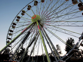 Foto 147252 im Album