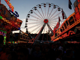Foto 147256 im Album
