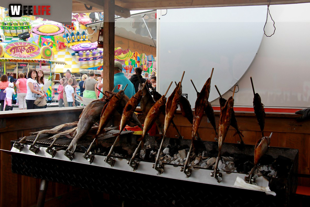 103. Hofer Volksfest 9.Tag Nachmittag