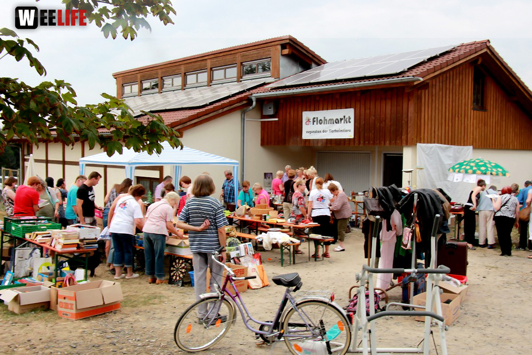 Sommerfest Tierheim