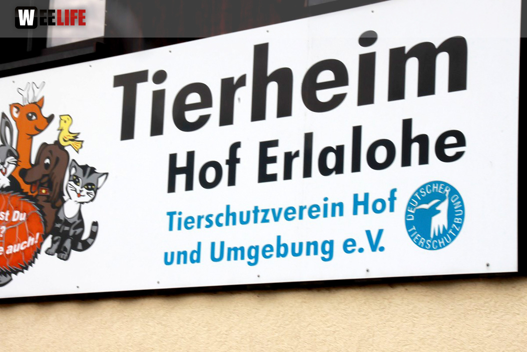 Sommerfest Tierheim
