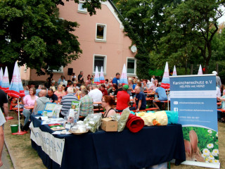 Foto 148536 im Album