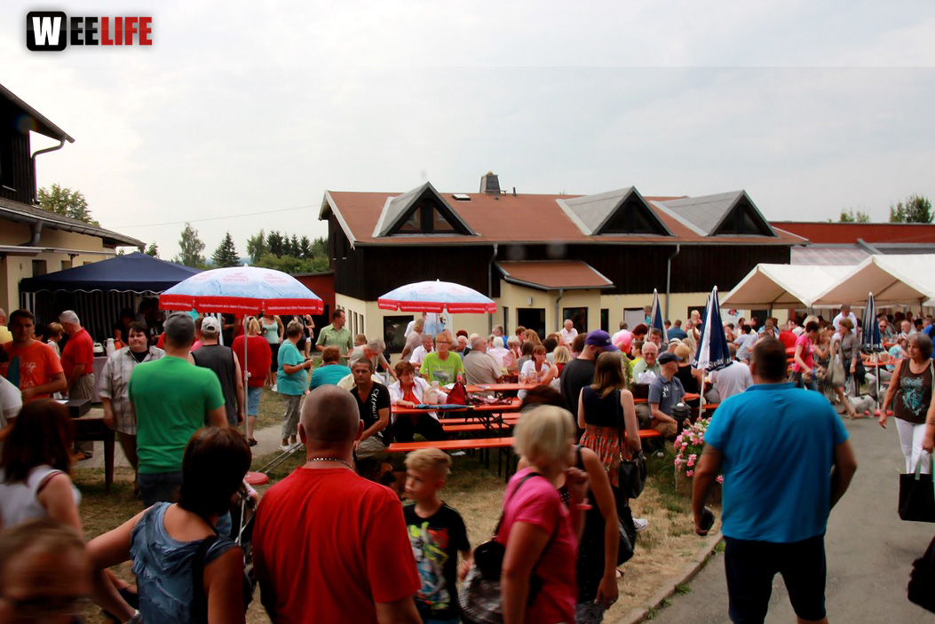 Sommerfest Tierheim