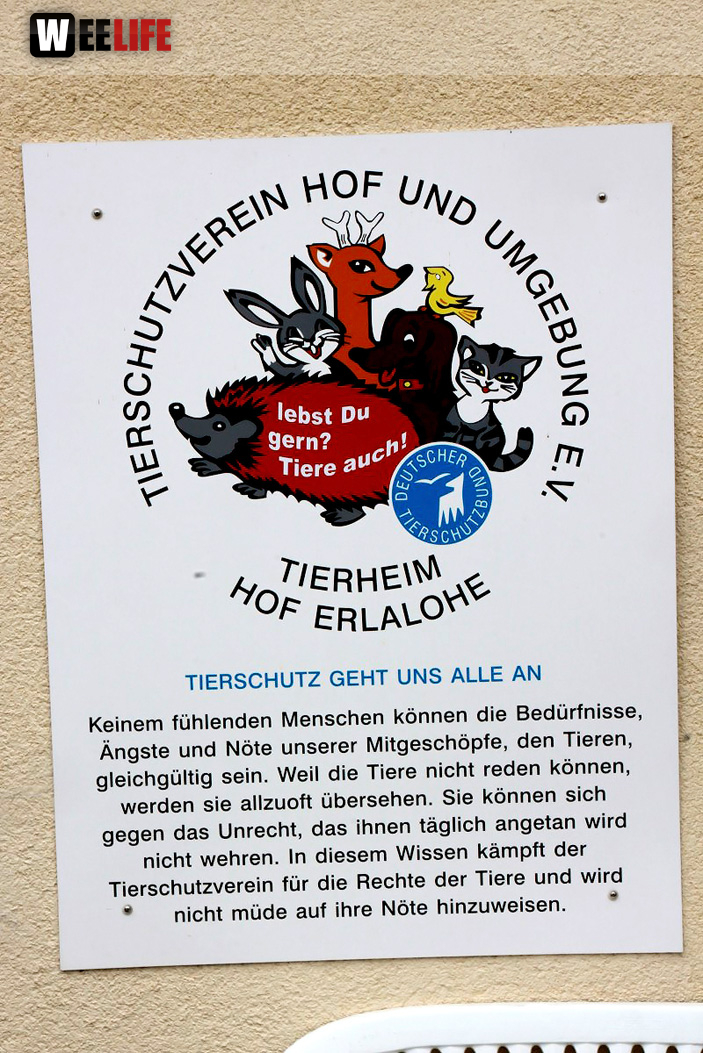 Sommerfest Tierheim