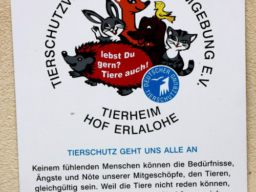 Sommerfest Tierheim – Foto 8