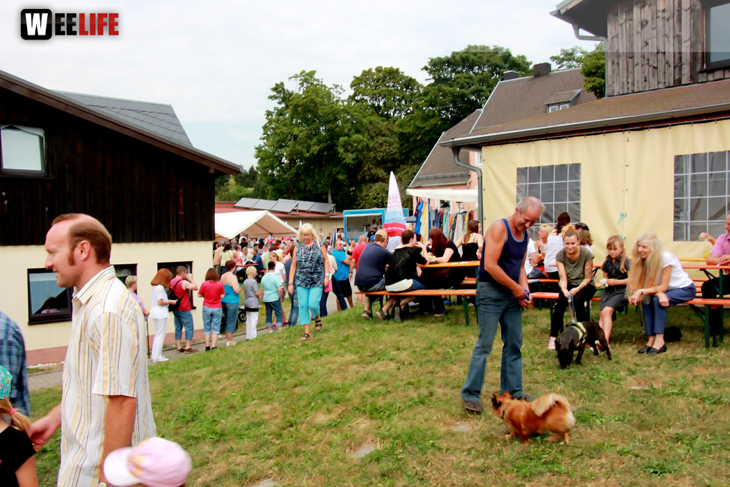 Sommerfest Tierheim