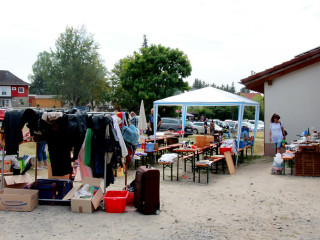 Foto 148562 im Album