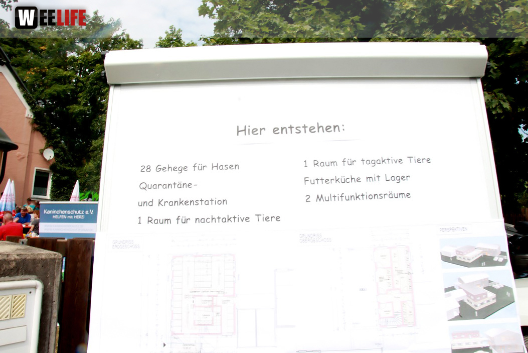 Sommerfest Tierheim
