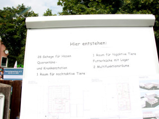 Foto 148564 im Album