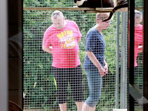 Sommerfest Tierheim – Foto 40