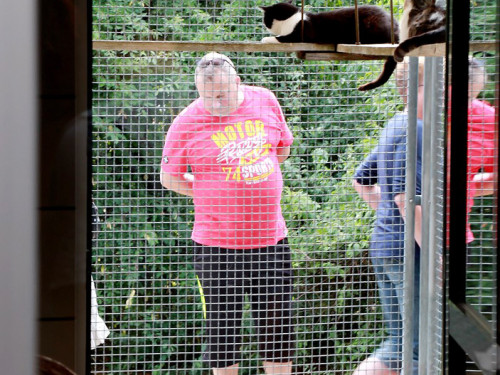 Sommerfest Tierheim – Foto 41