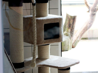 Foto 148575 im Album