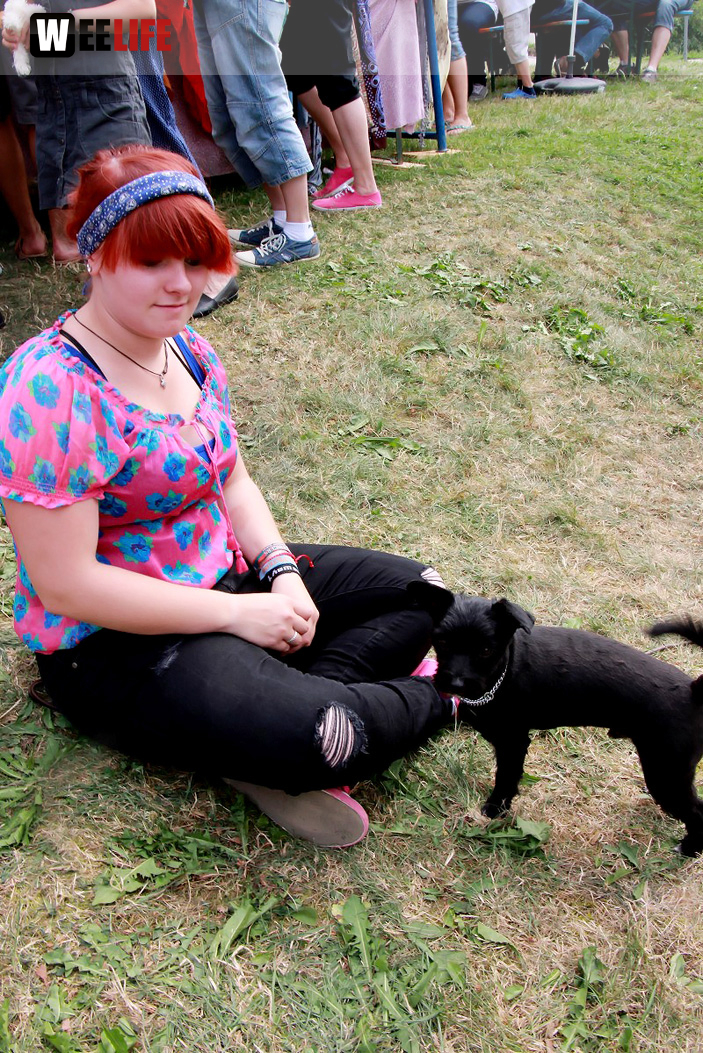 Sommerfest Tierheim