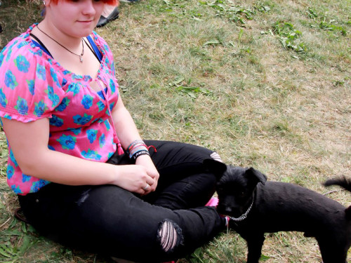 Sommerfest Tierheim – Foto 44