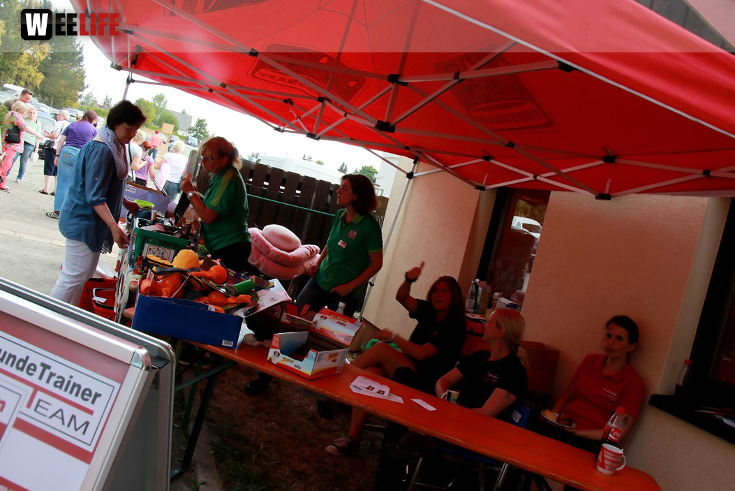 Sommerfest Tierheim