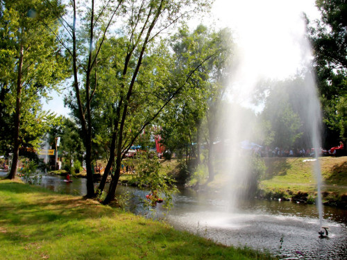 Saaleauenfest Strand- und Biergartenflair – Foto 19