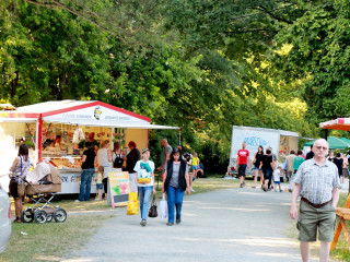 Foto 148660 im Album