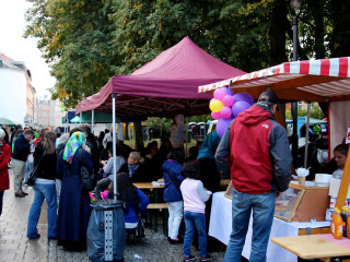Foto 149397 im Album