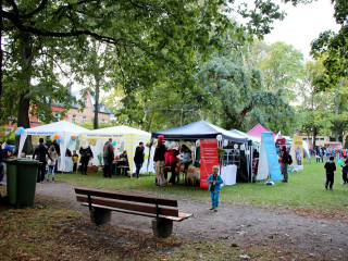 Foto 149402 im Album