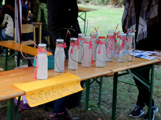 Foto 149403 im Album