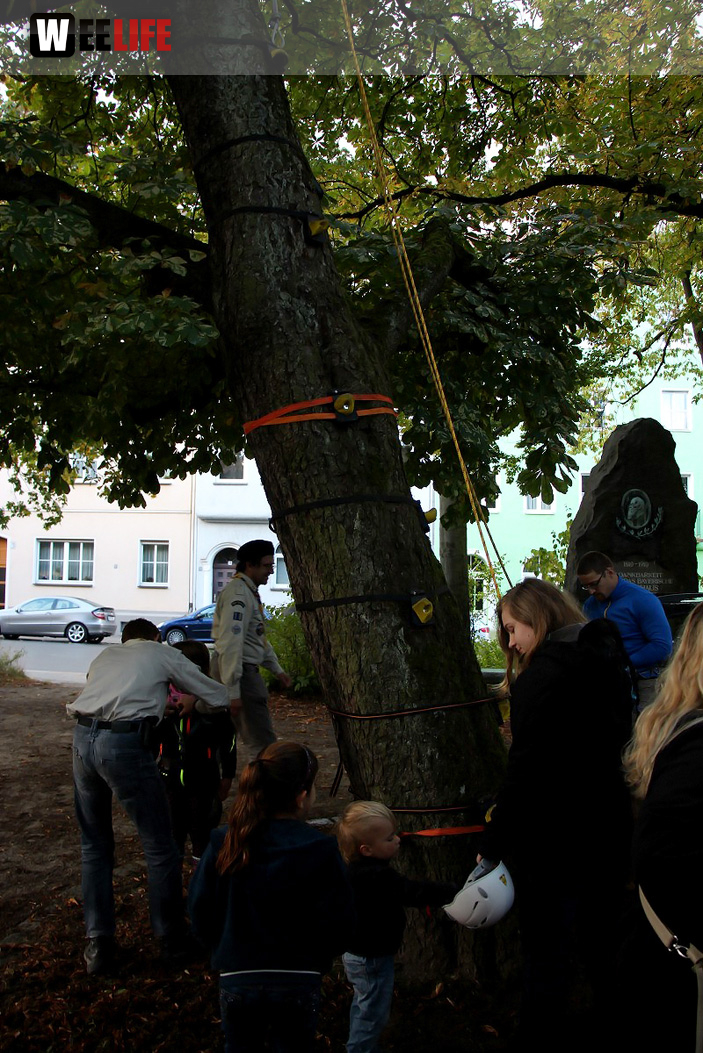 Weltkindertag