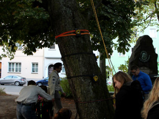 Foto 149418 im Album