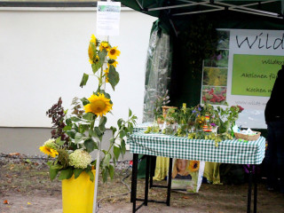 Foto 149426 im Album