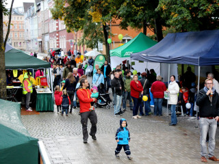 Foto 149440 im Album