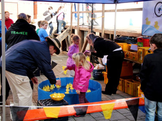 Foto 149501 im Album