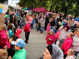 Foto 149504 im Album