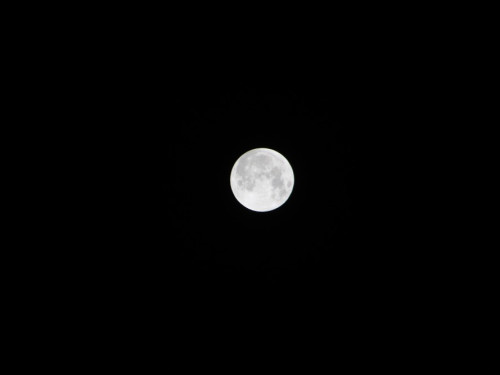 Totale Mondfinsternis 2015 – Foto 6
