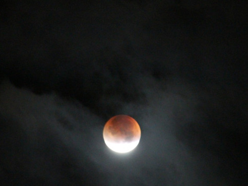 Totale Mondfinsternis 2015 – Foto 10
