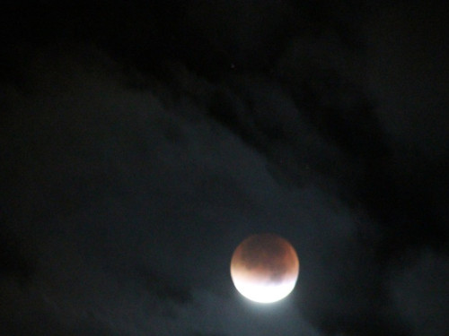 Totale Mondfinsternis 2015 – Foto 11